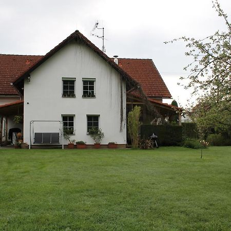 Krasny Apartman V Brane Luzickych Hor Cvikov Extérieur photo