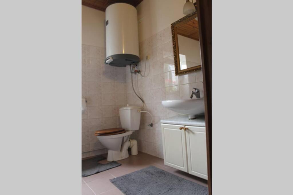 Krasny Apartman V Brane Luzickych Hor Cvikov Extérieur photo