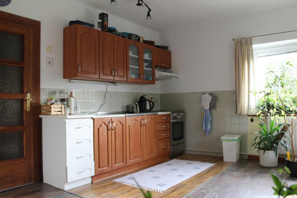 Krasny Apartman V Brane Luzickych Hor Cvikov Extérieur photo