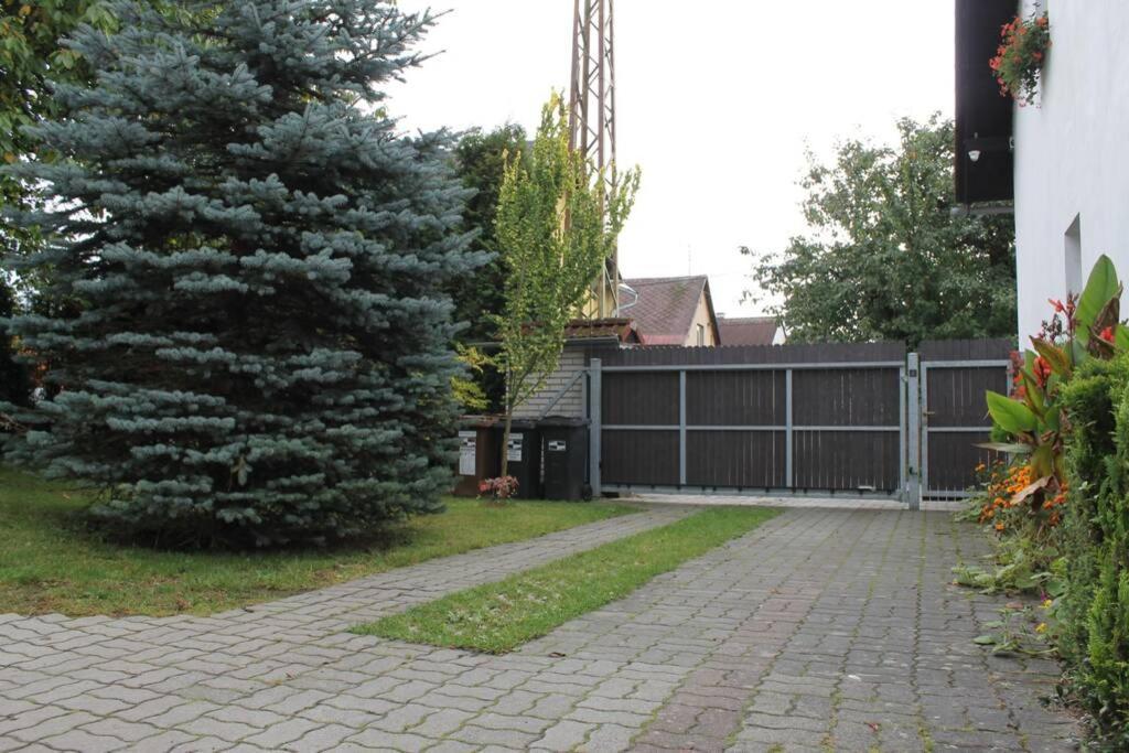 Krasny Apartman V Brane Luzickych Hor Cvikov Extérieur photo
