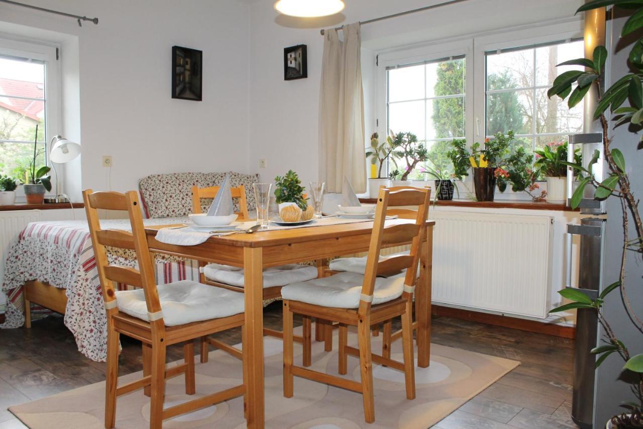Krasny Apartman V Brane Luzickych Hor Cvikov Extérieur photo